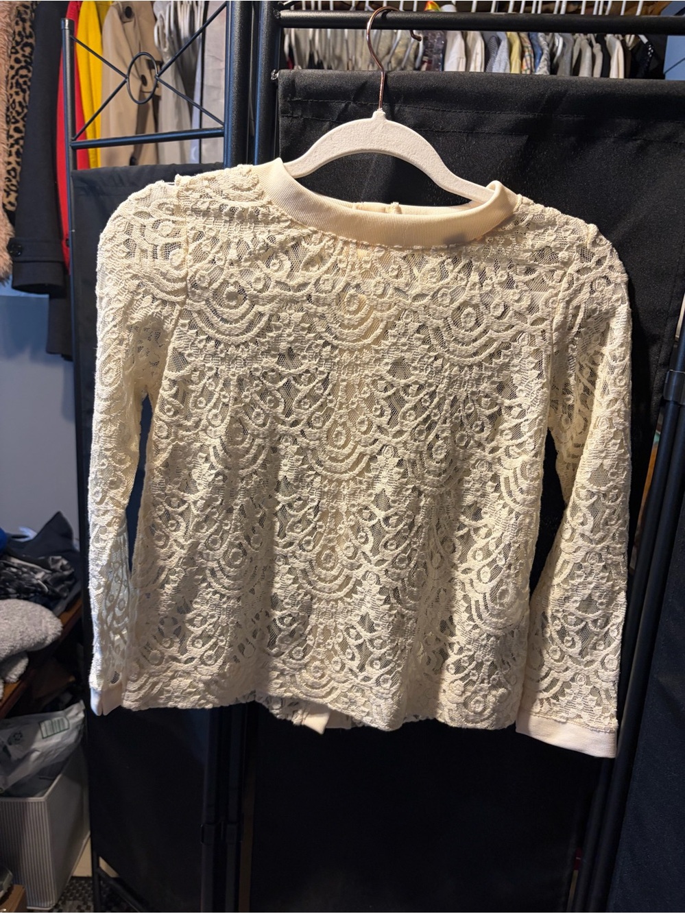 Banana Republic Cream Lace Long Sleeve Blouse